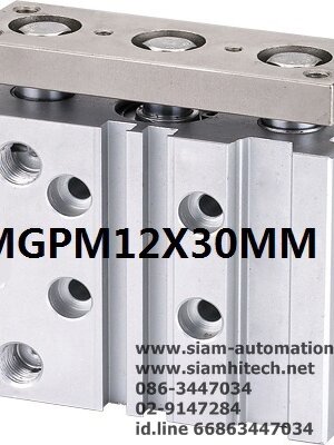 Cylinder Twin Rod MGPM12x30