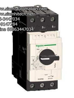 Schneider Telemecanique Thermal-Magnetic motor circuit breakers GV3P65 (New)