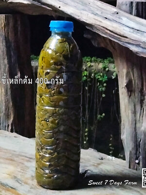 ขี้เหล็กต้มในขวด PET