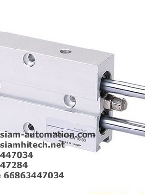 Cylinder Twin Rod TN20-125-S