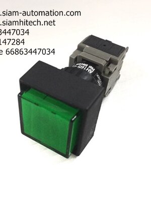 FUJI Switch AH165-2SELG11E3 (NEW)ของแท้