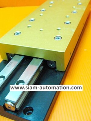 Linear Guide ยี่ห้อ DEL-TRON รุ่น 1-800-24S-5013 ยาว26ซม.