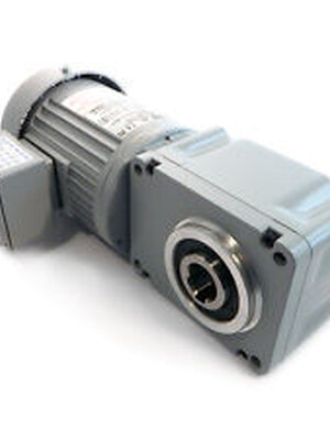 Gear Motor ยี่ห้อ GTR Nissei F2SM-12-80-T40T