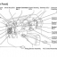 CD คู่มือ WIRING DIAGRAM TOYOTA PRIUS HYBRID ปี 2005 เครื่องยนต์ 1NZ-FXE
