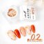 Monja เจลทาเล็บไมก้า เจลเปลือกหอยแต่งเล็บ Mica powder ขนาด8ml