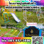 เครื่องเล่นสนามเหล็ก, เครื่องเล่นสนามมีอะไรบ้าง, โทร 081-912-3486 ชิงช้าราคาโรงงาน, เครื่องเล่นกลางแจ้ง, เครื่องเล่นสนามกลางแจ้ง, ชิงช้าเหล็ก, ชิงช้าราคาถูกราคากลาง