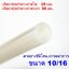 สายยางซิลิโคน 10/16 รูด้านใน 10 มิลลิเมตร Silicone Tube ทนความร้อน/ความเย็น ปลอดสารพิษ Food Grade