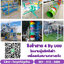 เครื่องเล่นสนามกลางแจ้ง, ชิงช้าราคาถูก โทร 081-9123486