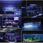 หลอด LED 3W Bluish Violet สีน้ำเงินม่วง 440-450nm LED ลูกปัด หลอดไฟ High power เหมา่ะสำหรับ เลี้ยงปะการัง ปลาทะเล และต้นไม้น้ำ