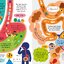[หนังสือ เด็ก] Usborne Step inside Science: Your Body ปกแข็ง Lift flap #ของแท้