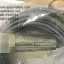 scaime Load Cell