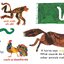 [หนังสือ เด็ก] My First Busy Book (The World of Eric Carle) –touch and feels by Eric Carle Board Book เล่มใหญ่ #ของแท้