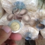 เห็ดนางฟ้าภูฐาน (Lung Oyster)