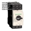 Schneider Telemecanique Thermal-Magnetic motor circuit breakers GV3P65 (New)