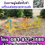 เครื่องเล่นสนาม สำหรับโรงเรียน จัดได้ตามงบ ปลอดภัย มีบริการติดตั้งฟรี มีประกัน วัสดุคงทน