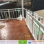 5-014 บ้านน็อคดาวน์ - บ้านหลังใหญ่ - ทรงเพิงหมาแหงน
