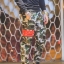 กางเกง Jogger ขาจั๊ม พรีเมี่ยม ผ้า วอร์ม รหัส WT 679 RR สีทหาร แถบ แดง