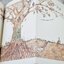 [หนังสือ เด็ก]It Starts With a Seed Paperback by Laura Knowles (Author), Jennie Webber (Artist) ความรู้, ต้นไม้, ภาพสวย, nature, tree, plant, seed