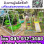 เครื่องเล่นสนาม สำหรับโรงเรียน จัดได้ตามงบ ปลอดภัย มีบริการติดตั้งฟรี มีประกัน วัสดุคงทน