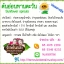 ต้นอ่อนทานตะวัน