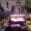 หลอดไฟปลูกต้นไม้ LED T8 10W ยาว 30CM 48 LED Grow Light AC 220V