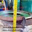 Bowl Feeder เครื่องสั่นลำเลียงชิ้นงาน 12 นิ้ว (Used)