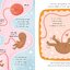 [หนังสือ เด็ก]5 Minute Human Body Stories: Science to read out loud! Magic Cat #ของแท้ #พร้อมส่ง ปกแข็ง #Body