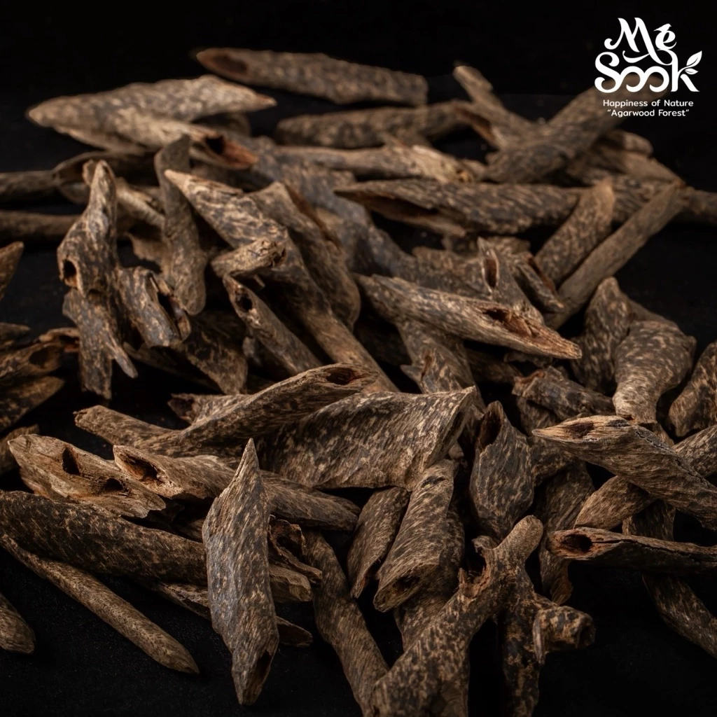 แก่นเนื้อไม้กฤษณา รหัส 113-MS-032768