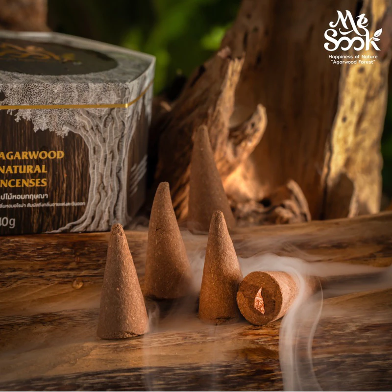 ธูปแก่นไม้กฤษณา 9ดอก ปิดทอง สักการะ องค์เทพพระพิขเนศ (50g.) รหัส 113-MS-061