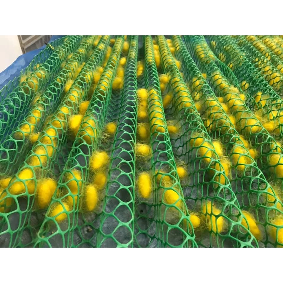 จ่อพลาสติก สำหรับเลี้ยงไหม รหัส 76-2-09166737